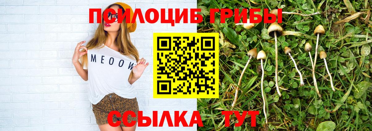 Галлюциногенные грибы мицелий Сергиев Посад
